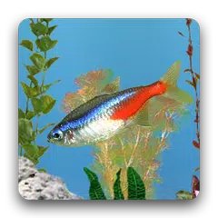 aniPet Freshwater Aquarium LWP APK download