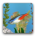 aniPet Freshwater Aquarium LWP