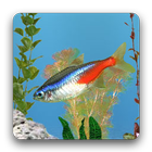 aniPet Freshwater Aquarium LWP ícone