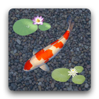 aniPet Koi LiveWallpaper icon