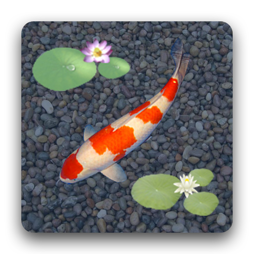 Anipet Koi Live Wallpaper Apk 2 0 7 Download For Android Download Anipet Koi Live Wallpaper Apk Latest Version Apkfab Com