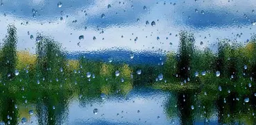 窓上の雨（無料）