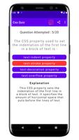 CSS Quiz screenshot 2