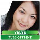 Lagu Yelse Full Offline иконка