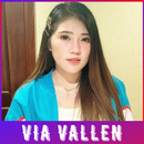 Lagu Via Vallen Best Album Off APK