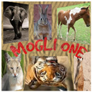 MOGLI ONE APK