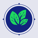 Haiven APK