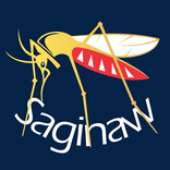 Saginaw Mosquito Notifications