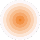 Echo Music APK