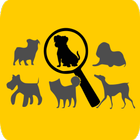 Dog Breed Match biểu tượng