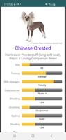 Dog Breed Match bài đăng