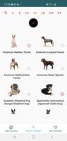 Dog Breed Match ảnh chụp màn hình 1