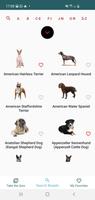 Dog Breed Quiz and Match capture d'écran 1