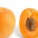 The apricot tree KR 8756 APK