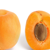 The apricot tree KR 8756 أيقونة