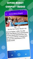 Divine Mercy Chaplet Ekran Görüntüsü 1