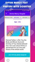 Divine Mercy Chaplet ภาพหน้าจอ 3