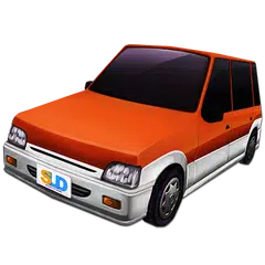 Dr. Driving Icon