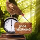 Good Morning Gifs and Images aplikacja