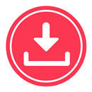 Ansta: Story, Reels downloader APK
