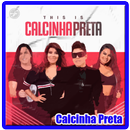 Calcinha Preta songs mp3-APK