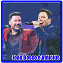 João Bosco e Vinícius songs mp3 APK