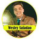 Wesley Safadao Musica Sem Internet APK