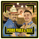 mp3 de Pedro Paulo e Alex APK