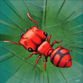 Ant Adventure 3D