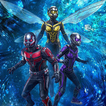 Ant-Man and The Wasp Wallpaper