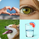 4 Fotos 1 Palabra 2024 APK