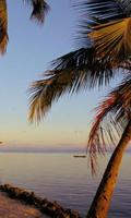 Bahamas Wallpapers screenshot 1
