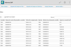 Informes SAP capture d'écran 2