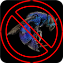 Anti Wasp Sound APK