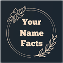 Your Name Facts-What Is In Your Name Meaning APK