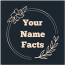 Your Name Facts-What Is In Your Name Meaning-APK