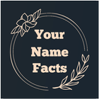 Your Name Facts-icoon