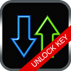 Network Connections Unlock Key-icoon