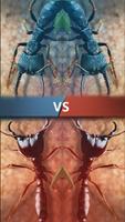 The ants underground kingdom Affiche