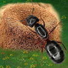 Подземное царство муравьев иконка