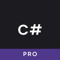 C# Compiler(Pro)