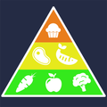 Masterclass Nutrition