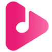 AnyPlay - Video Downloader APK