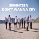 Seventeen Don't Wanna Cry