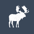 Moose Bar icon