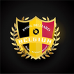 Pool Billiard Belgium icon