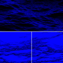 Transit Festival APK