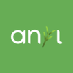 Anyyl icon