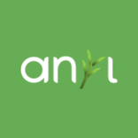 Anyyl