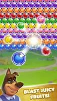 Fruit Bubble Shooter Affiche